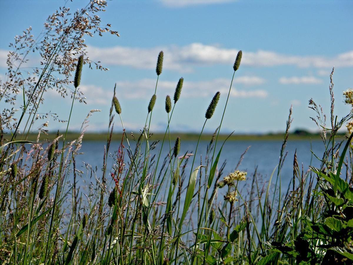 Galleri Laugarvatn Exteriör bild